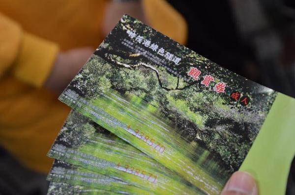 四草綠色隧道~~台灣袖珍版亞馬遜河． 如詩如畫的景色令人陶醉